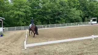 Emelia Lewis and Walk Dee Line FEI Children Team Test 2022