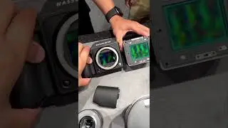 Wow! Take a look at Hasselblad 907x (right) vs Hasselblad X2D (left) Medium Format CMOS sensor size!