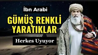 HERKES UYUYOR - UYKU SANA UZAKTA İSE , GÖZLERİNİ TAVANA DİKTİYSEN - GÜMÜŞ RENKLİ YARATIKLAR İLE ...