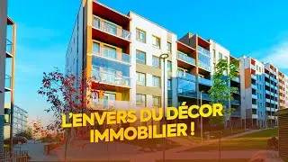 Comment s'organise le secteur immobilier : Guide complet