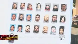 East Bay Gang Sweep Nets Possible Highway Shooting Suspects