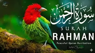 Surah Rahman (سورة الرحمن)  Beautiful Quran Recitation/#https://www.youtube.com/@MakkiMadaniQuran♥️ 
