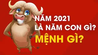 Năm 2021 là năm con gì? Người sinh năm 2021 mệnh gì?