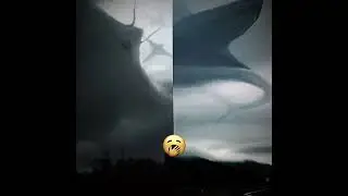 Giant Manta & Aircraft shark💀 #short #trevorhenderson (creds to Crimson on capcut)