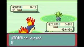 POKEMON EMERALD | QUILAVA | CERCA | IMPRISON