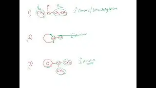 Amine and Amide