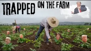 How Trump Made Slavery Great Again