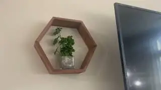 Honest review of hexagon floating shelves and set of 3 artificial plants