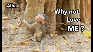 Alba cry break sound hurt alone | Alba cry angry mom never love her.