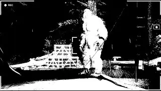 getting hunted at 5am