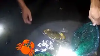 Manulo naman kami ug alimango 🦀🦀