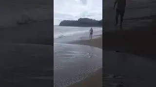 мюссера