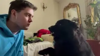Dog bark challenge - the black Eurasier