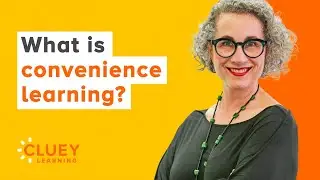 What is convenience learning?