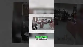 Chaos in the Courtroom  Dramatic Fight Erupts During Emotional Hearing