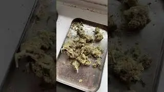 Tyson 2.0 Haymaker Haze T28% review #ukmedicalcannabis #medicalcannabis