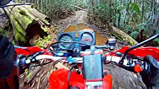 (2013-Remix) NWXL Patons Rd  into Cradle Mt NP