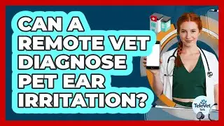 Can a Remote Vet Diagnose Pet Ear Irritation?