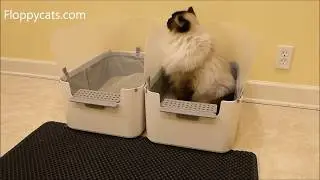 Blackhole Litter Mat XL Product Review Video - Large Cat Litter Trapper Mat