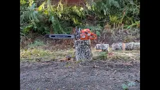 New Years Eve wood run!