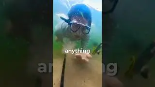 I Metal Detected 25 Miles of Ocean and Found...