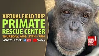 Virtual Field Trip: Primate Rescue Center