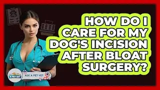 How Do I Care For My Dog's Incision After Bloat Surgery? - Ask A Pet Vet