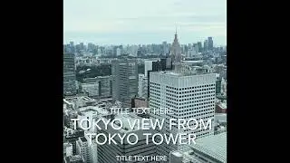 TOKYO SKYLINE VIEW