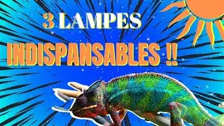 MAT&Eacute;RIEL CAM&Eacute;L&Eacute;ON PANTH&Egrave;RE : Quelles Lampes mettre sur le Flexarium❓️