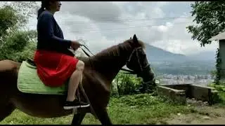 Mama Naik Kuda