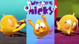 SHORTS CHICKY | CHICKY'S DANCE | Where's Chicky #shorts