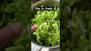 Korean Green Onion Salad #healthyrecipe #healthyfood #viralvideo