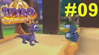 Spyro: Год Дракона &mdash; Часть 9: Дом в Полуденных Садах