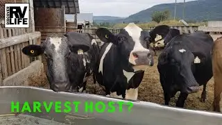 Harvest Host Salmon Arm, BC - These are two great Harvest Host locations in Canada.