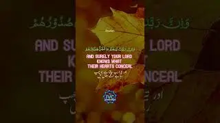 Surah An-Naml [74] Quran Recitation by Islam Sobhi #shorts #quran #islam #tilawat