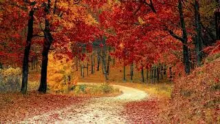 The Autumn Leaves Are Turning | Benjamin Baskin