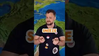 How Every Country Sneezes