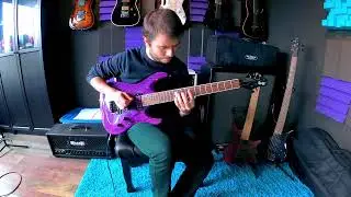FREE Guitar Lesson - Advanced speed alternate picking // Advanced to Professional