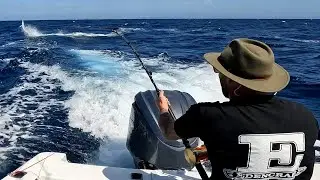 Escape to Eden - Marlin !!!