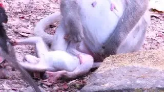 “OMG! You Won't BELIEVE What Just Happened to Baby! 😱 | Must-Watch for Every Parent!”