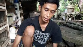 PETERNAK LANDAK MINI RANGKASBITUNG BANTEN