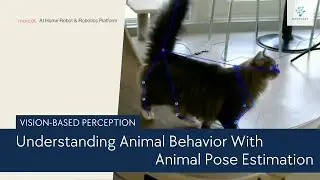 Understanding Animal Behavior Through Animal Pose Estimation