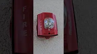 System Sensor P2RK outside an Abandoned CVS
