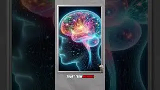 Your Brain's Secret Reset Button (The Power Nap)