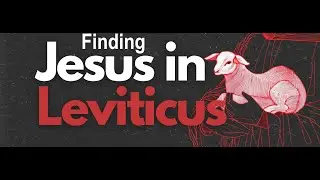 Leviticus Study