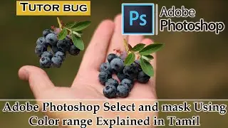 Adobe Photoshop  Select and Mask using color Range Explained in Tamil