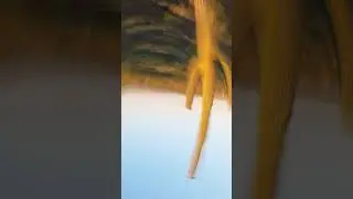 Epic Drone Fails You HAVE to See!  #dronefails