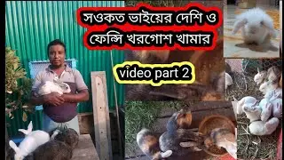 খরগোশ কিনুন পানির দামে
