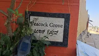 #DESTINATION WEDDING #MARRIAGE #Peacock 🦚 grove @yelhanka @BANGALORE #Function in nature#celebration