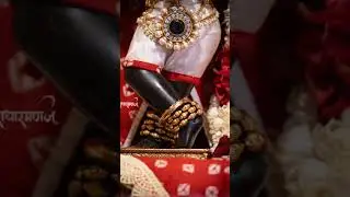 Today&rsquo;s the divine shringar darshan of Prandhan shri radharaman lal ju vrindavan dham 🥰❤️🦚